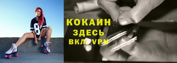 PSILOCYBIN Арсеньев